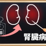 腎炎 漢方薬