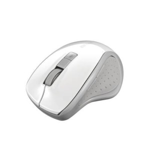 BSMBB300 white