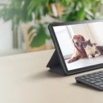 LAVIE Tab T10 PC-T1055KAS レビュー